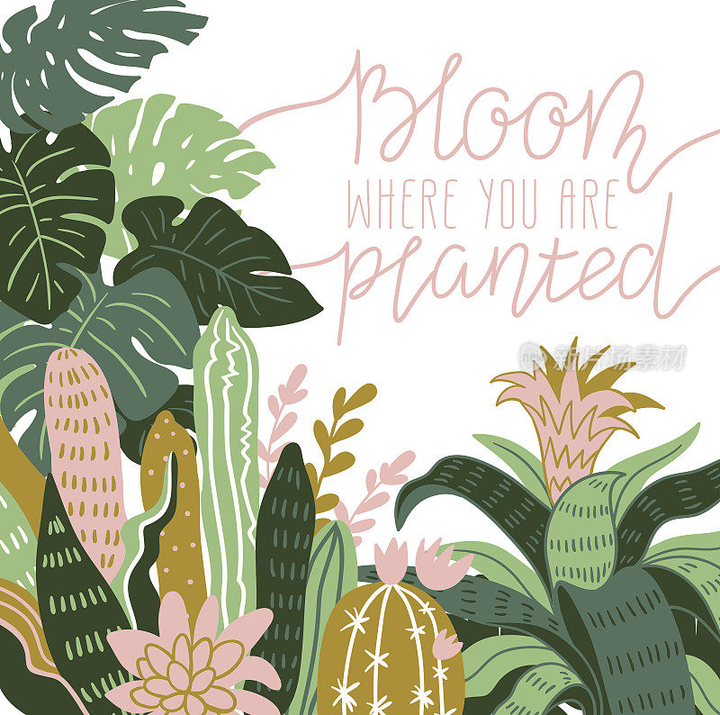 手绘野生热带室内植物。斯堪的纳维亚风格插画，家居装饰。矢量打印设计与terrarium和字母- 'bloom where you are栽'。